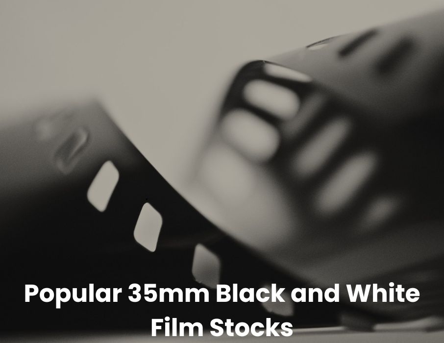 Popular 35mm Black and White Film Stocks